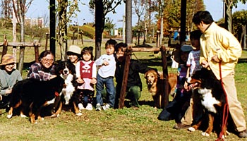 �u���[�A����������������B�v