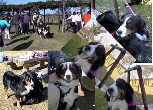 ��T��΂ɉ�