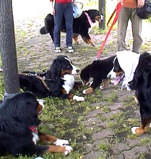 �����������ɏo������o�j����B�B