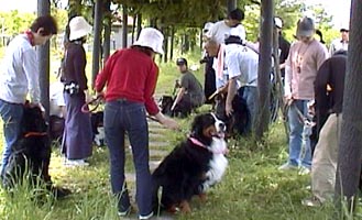 �����A�o�Ԃ���!!