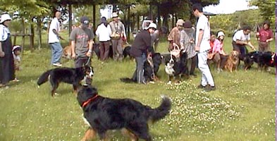 ���R�s�����Ă�̂�����?