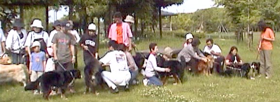 �u����ŁA����ŁB�v�u�������āA�������āB�v