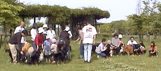 �u�́`���B�����������Ă��������ˁB�n�C�A�`�[�Y!!�v