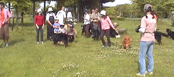 ���U�͂����Ƃ����Ԃ���!!