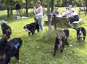 �O�ь��̃o�j����B�͗΂��ƂĂ��������B�B�B