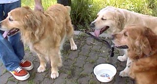 ���������A�܂������A�����������̎O�ь��B