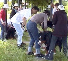 ����΂�Վ��Y�N��ƁB