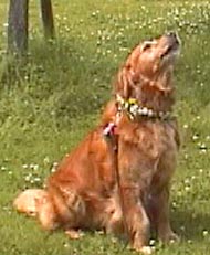 ���Ԃŕ҂񂾎�ւ����ĂˁB