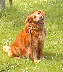 �΂��Ă�񂶂�Ȃ��āA���Ԏ����ł��B