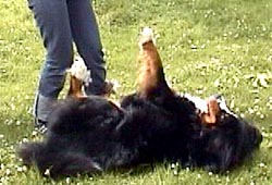 ���J���B�����B