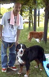 ���C�����