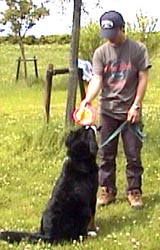 ���܂������ė����ˁE�E�E�B