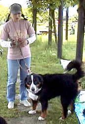 �~�i�����