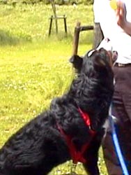 �W���͂�������!!