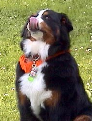 ���I�u��!!