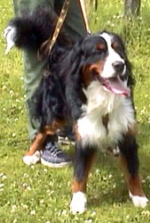 �|��菗�̎q�̕��ɋ����������E�E�E�B