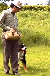 ��{����������o���Ă܂��B