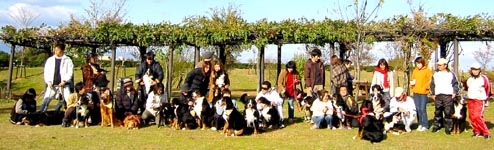 ��7��΂ɉ�W���ʐ^