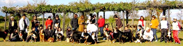 �W���ʐ^�@����2