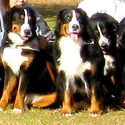 �W���ʐ^�@�΁[�Ɂ[