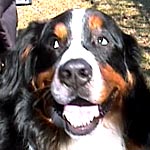 �x���K���N