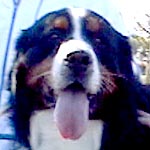 �N�b�L�[�N