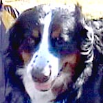 ���I���N