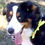 �}�[�S�����