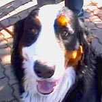 �}�����N