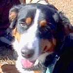 �߂������