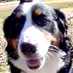 �~�i�����