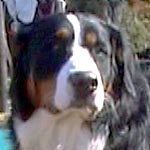 �m�G�������