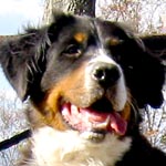 ���l�����