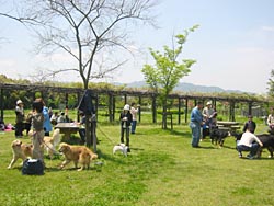 ������ׂ�^�C����