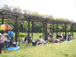 �s�N�j�b�N��