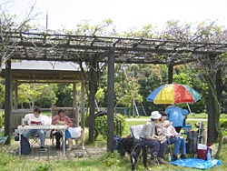 �D��Ȍߌオ����čs���܂��B