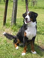 エクちゃん、大きくなりましたね♪