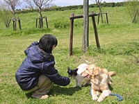 すずちゃんは先月1歳になったばかり。
