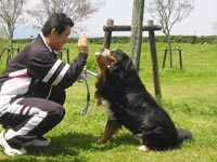 クッキー君の手、空高くあがりました。