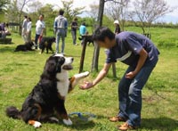 一番大きく見えるロッシ君。