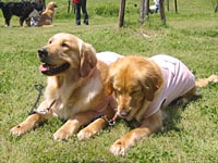 �|�ɂ�������������܂����ˁB