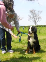 ������ƃV���C�ȃV�����������