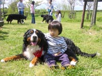 �J�^�J�i�̃o�[�j�[�����