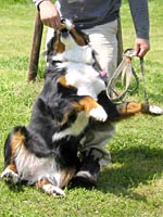 �R�e�����Ă��������ˁB