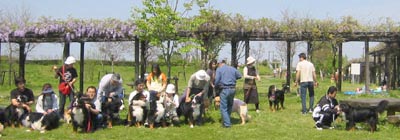 �������Ă�̂�����H