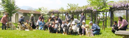 ����őS���ł��ˁB