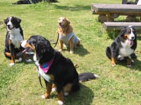 �G�N�����A�V���f�B�����A������������