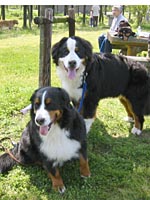 �Ƃ��Ă��傫�ȃ��b�V�N