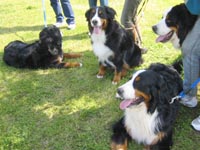 ����͒N���ȁH�e�B���N�N�H