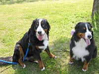 �V������������